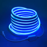 Indoor Neon Lights